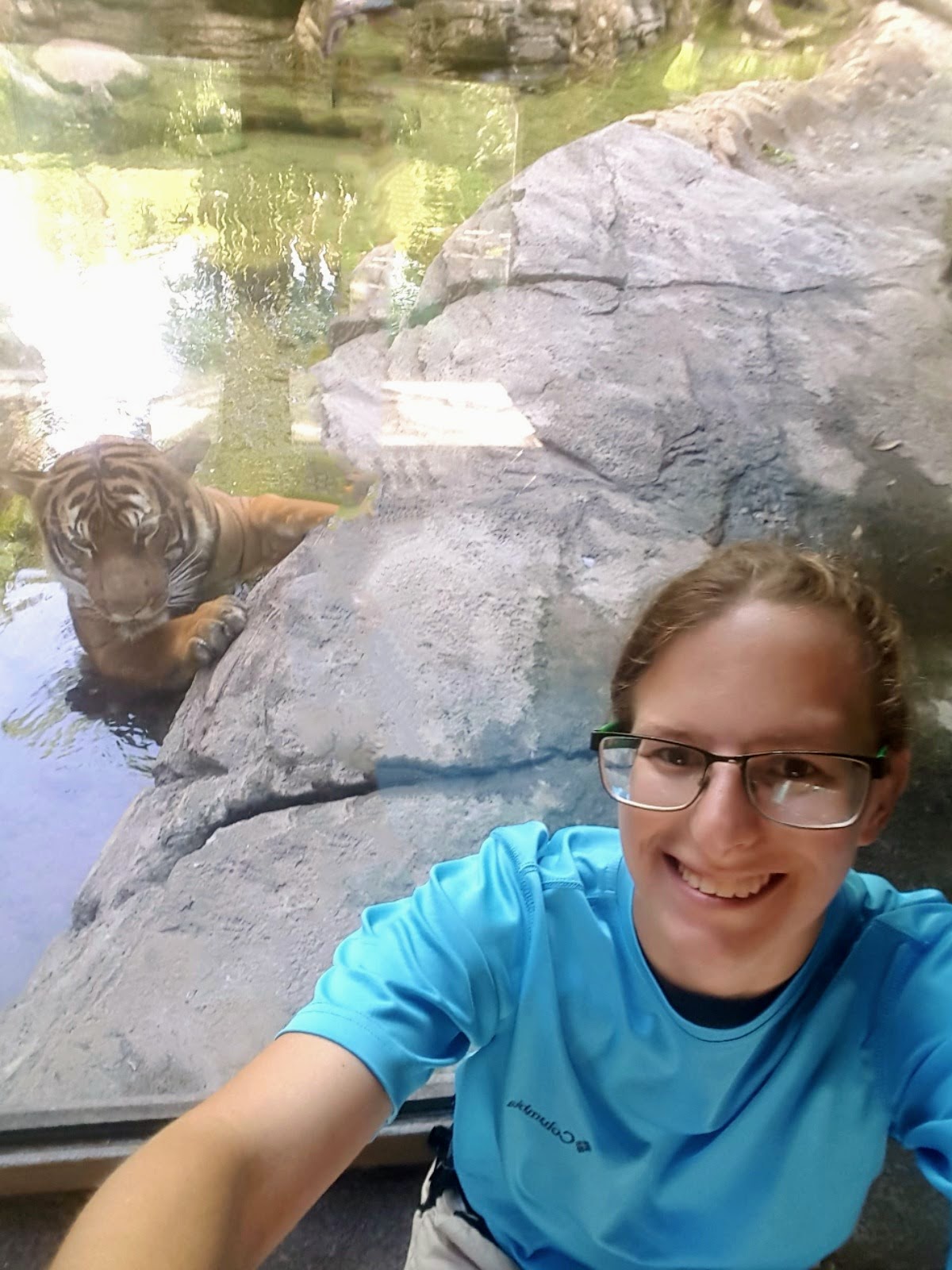 Zookeeper Assistant Certification Animal Behaviour College